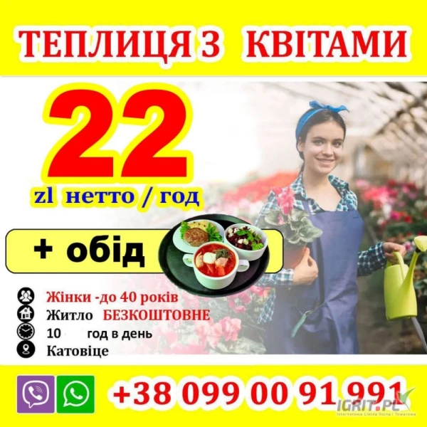 /images/posts/2025/05/2008166/3L5E1KTi7dgY8kQgg0nqoWwzmAkkkxXD7hTT2IUN.jpeg