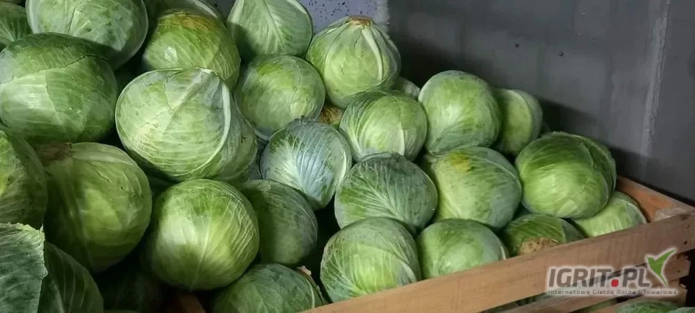 /images/posts/2025/06/2019544/k64kc0z3axQ5Hwa3kVt5Tjo2w3ACGlVEnX1Ozgfw.jpeg
