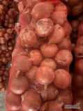 Sprzedam cebule. Ilosci 22t. Piekna łuska. Towar idealny. Fazerowany worki 15kg.