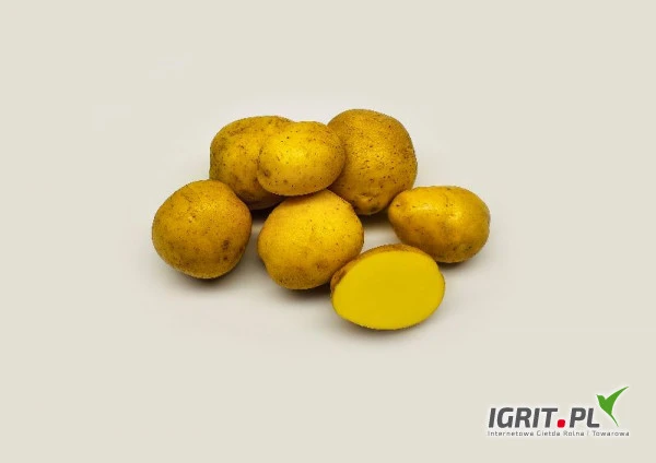 /images/posts/2021/12/1463420/ujnsYLDlI3tJqDOgbQOESi7p7M7s9nXjY5VpwAjx.jpeg
