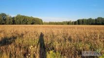 Przyjmę w dzierżawę grunty rolne , nieużytki , łąki pod uprawy rolne gmina Pakość i Inowrocław w okolicach miejscowości Tuczno,...