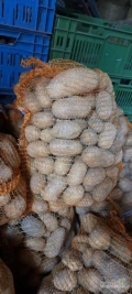 Sprzedam queen anne worki 15 kg lub luzem cena 90 groszy kg