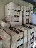 Sprzedam koszyki do truskawek, duża ilość około 700 szt.
