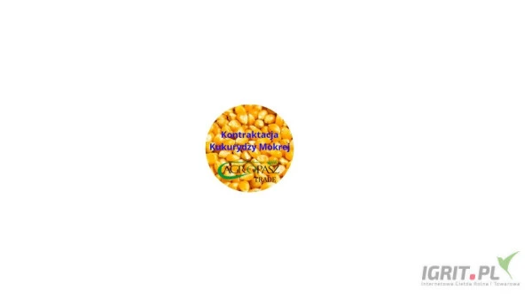 /images/posts/2024/08/1893019/VzOK9s7p9flmB5qH4NS7v1QZCa3FjHXQJ77IEVp7.jpeg