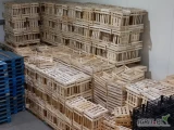 Posiadam do sprzedania około 2000 szt łuszczek.