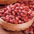 Orzeszki ziemne, najwyższe oczyszczenie, Uzbekistan, najwyższa jakość. Pudła kartonowe 10 kg, certyfikaty jakości, z dostawą do...