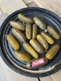 Sprzedam ogórki kiszone beczkowe 12-15 , krzywe oraz na przecier odmiana Allianz ogórki z własnej plantacj .