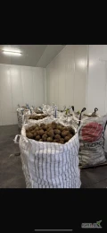 Witam sprzedam seler ładna biała po umyciu
