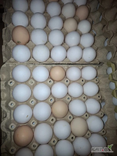 /images/posts/2025/03/1983555/DhdsqKCuHW5ofXSyXobDkZ8wbxygnL9C80epXtcW.jpeg