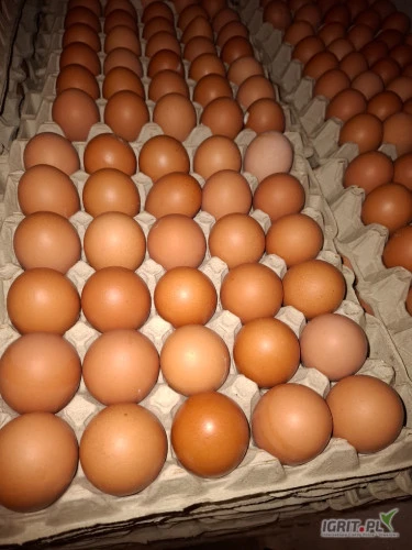 /images/posts/2025/03/1983555/9x3MSvwIw7FmMQfv96uH79MkKWZAlrmoYATjFzjK.jpeg