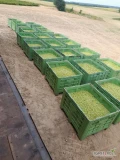 Sprzedam agrest Biały Triumf ok.40ton. Owoc twardy, zielony bez mączniaka. 