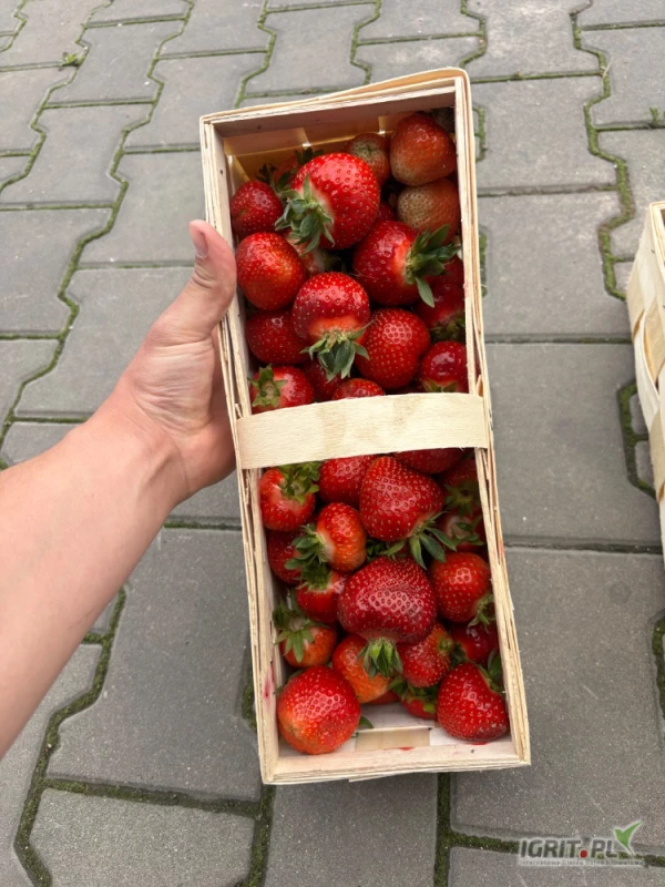 /images/posts/2025/06/2019630/mT9AZCjMh48jPz36IWFLFVYrPtLJi44YRvalHKX1.jpeg