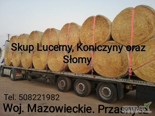 /images/posts/2025/01/1956976/kORf9VRrAfU7n6Wl13hxlhli6tLe8NStiVOW3D7w.jpeg