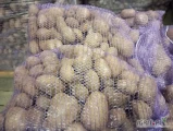 Sprzedam ziemniaki jadalne czerwone Red Lady Kal 50 worek 15 kg szyty kolor fioletowy ilości 22 palety po 70 szt. Zapraszam 