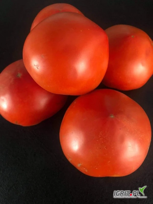 /images/posts/2021/08/1394306/9GeFw73i0M4I5LIifXSXMLNUlYcU4DTe8QCzVQbk.jpeg