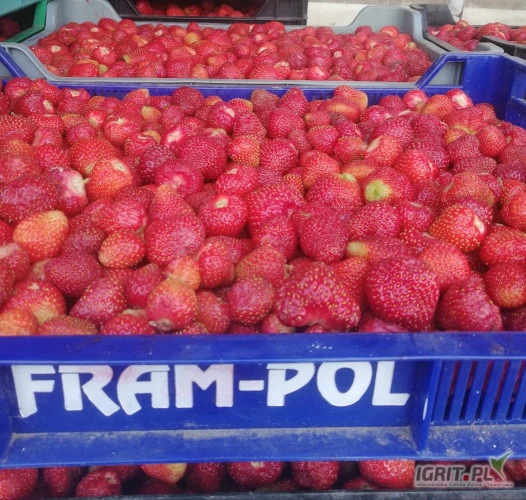 /images/posts/2023/06/1716807/v2evrkkitfNxZfqu3uNAcbQU268epnEZuATP2z7i.jpeg