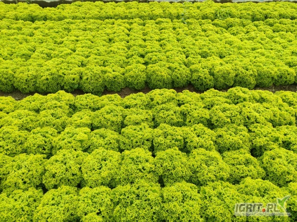 /images/posts/2025/05/2008600/TOSm6GDQPC0pZOyppbu249GfHzXGA1Zbd6UTrnnf.jpeg