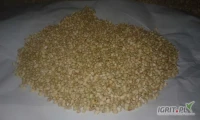 Kasza gryczana Sprzedam kaszę gryczaną białą niepaloną. Kasza pochodzi z własnego gospodarstwa oraz własnej tegorocznej niepryskanej...