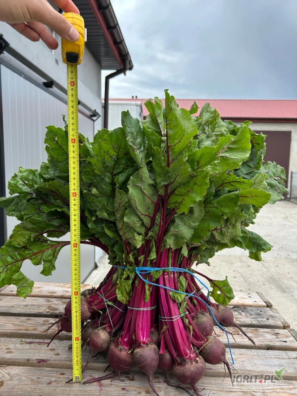 /images/posts/2025/06/2019400/D6Hic9mqao89dH6F3xyYUpKrnCyPyfcekawuFlBm.jpeg