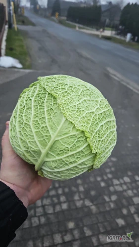 /images/posts/2025/01/1966547/DUjsgAONaWFTjEj4m4OALchfTKdB0phWql3ZQEnM.jpeg
