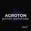 Kupię tirowe ilości ziemniaków Queen Anna oraz innych żółtych odmian , big bag lub worek 15kg, 10 kg