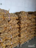 Sprzedam ziemniaki z chlodni szczotkowane żółte 45+ Denar, Tajfun naszykowane na gotowo paleta po 70sztuk x 15 kg owinięte siatką.