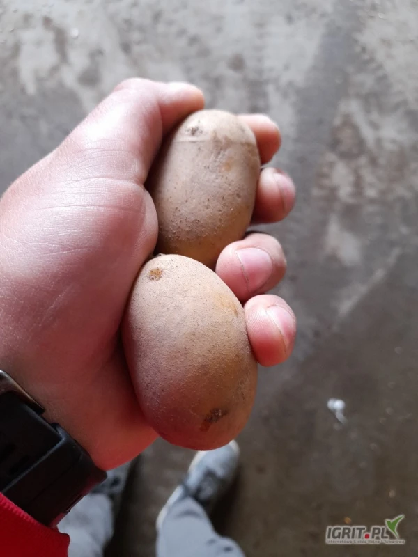/images/posts/2025/06/2019909/dG41NEnbB1rCzmF2ie4nPD6OX3RuyWFMEdd3yZ3g.jpeg