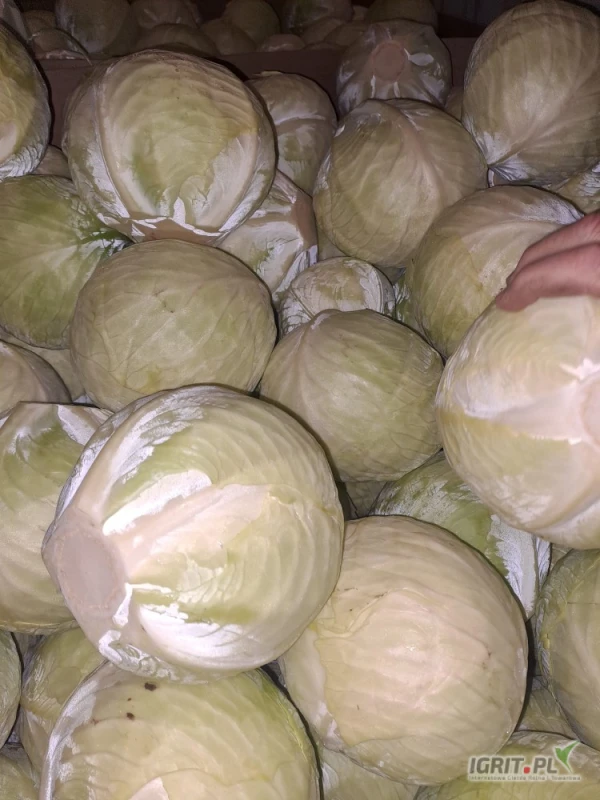 /images/posts/2025/06/2019966/fvt2YSsBpXr2acHh1WIWJzrkUZIVm22wdUof4Y5Z.jpeg
