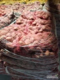 Zakupię ziemniaki odmian żółtych I czerwonych, ilości tirowe opakowanie 10,15 kg i big bag,  ceny konkuręcyjne do uzgodnienia...