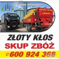 Kupię pszenicę , jęczmień , pszenżyto , rzepak , kukurydzę ,min 10 t , odbiór pompą (odkurzacz) w cenie 820 zł brutto pszenica  ,...