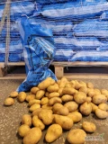 Ziemniak 10 kg Spunta 40-60 Egipt - świeża dostawa Warszawa
