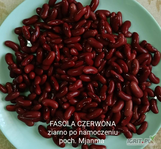 /images/posts/2025/03/1983719/7QoT9h0G3K52u8VQ6MmQZmNCbFydFYJG0mARwou6.jpeg