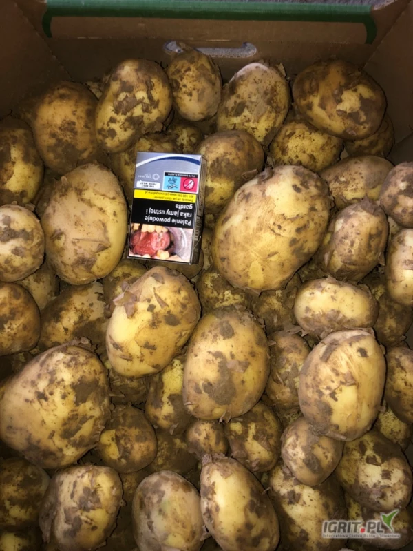 /images/posts/2025/06/2020351/0sLNZJrTctNhkYikc3zAW3bM3w3L3tEK6rrJvXpY.jpeg