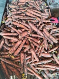 Sprzedam marchew brudną, opakowanie karton, cena50 gr/
