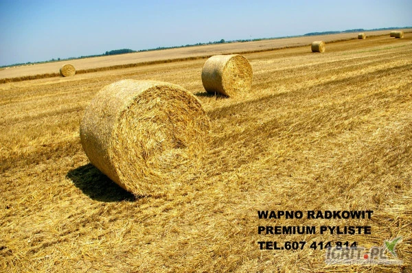 /images/posts/2025/02/1972375/BCcYOIOGDbVhOfBcwhWrSbG23i7JaRWzClauvP5i.jpeg