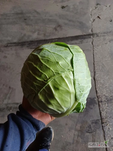 /images/posts/2024/07/1877107/omhEpesp4IVurIhvw9QMxZtjpVeYVODAeki2RLua.jpeg