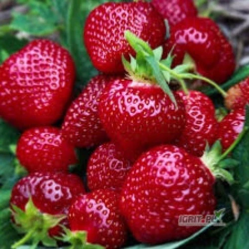 /images/posts/2024/06/1873643/Uk32kD1ZeP9ZECn7l3EIVzkFvNLJBjEgPGVfm4Co.jpeg