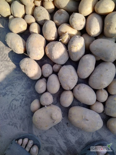 /images/posts/2024/09/1904387/i86SUGGj46mEH6kUPUPLxlyP5gKSQGLnYM7BbJBq.jpeg