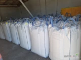 owies w workach 20 kg big bagi