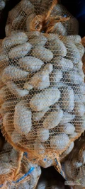 Sprzedam queen anne worki 15 kg lub Big bagi cena 90 groszy kg