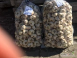 Sprzedam czosnek wiosenny w penczku wszystkie kalibry od 4,5-6,5 cm , Czosnek przeczymywany w chłodni bez nadrostów , w bardzo dobrej...