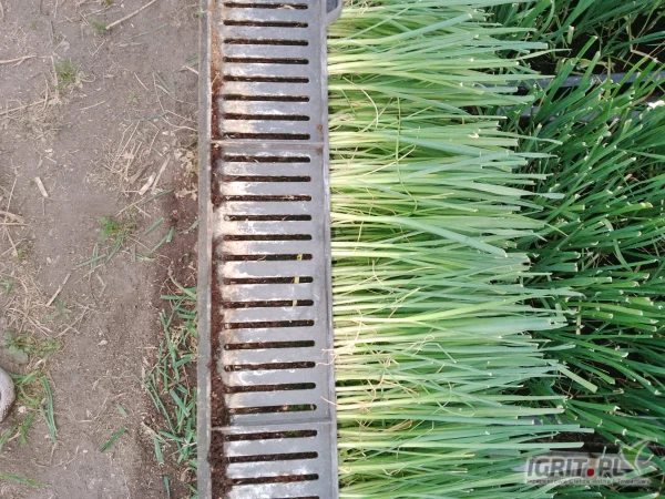 /images/posts/2025/05/2008999/rrgAAGrcuVY2vcvvKrq13Ttkn14Q8y1l141ef4lG.jpeg