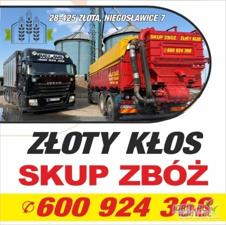 /images/posts/2025/06/2020577/1jURlNZbspW11d2N7HxKH7rxvk3r9tullOe8MhDw.jpeg