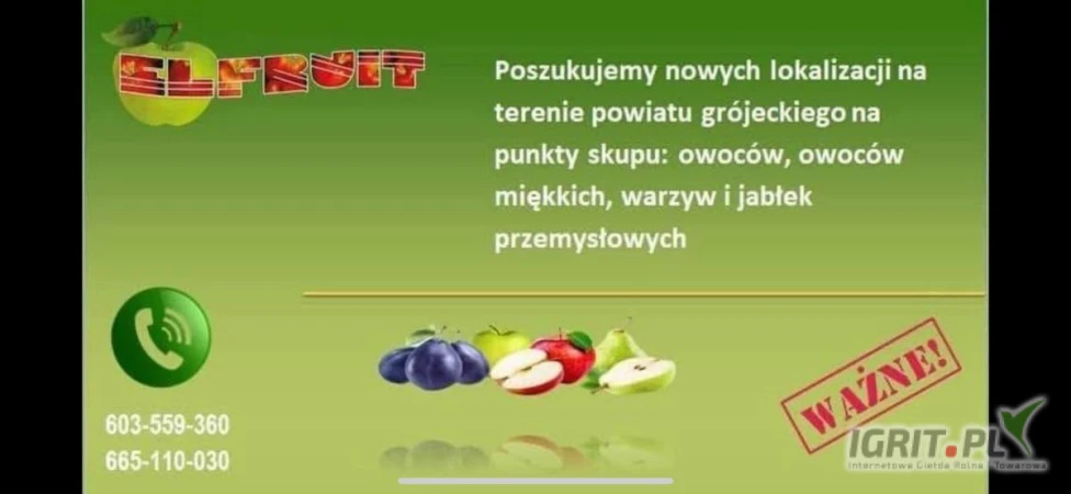 /images/posts/2025/06/2020581/Utxpb2FF26yfpyOaz6eA94DGWMrkD3CNmnRseofI.jpeg