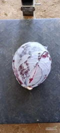 Sprzedam kapustę czerwoną  od 1 do 3 kg