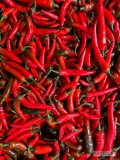 Sprzedam paprykę czerwona chili/pepperoni. Kraj Turcja/ maroko/ Hiszpania. 
