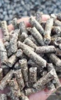 Gom z produkcji cukru z buraków, sucha w granulkach piękne jedzenie. Cena dostawy może być inna w zależności od strony dostawy