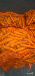 Sprzedam marchew. NERAC
