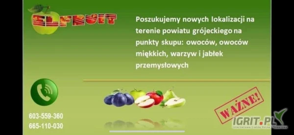 /images/posts/2025/03/1983688/iLRLxXOh4Qj4VqQO6tR8dMiRY9f6Vs4Zm81KPZ9A.jpeg