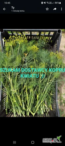 /images/posts/2022/03/1512562/NjC46t7wdlmhEQNgkBNw9vhRa3Dzgo3YHdyKHa91.jpeg